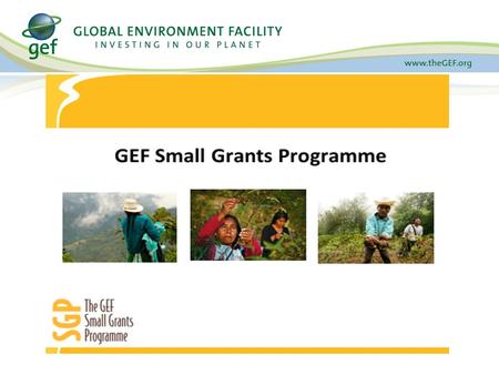 Agency Stakeholders Global Environmental Facility (GEF) United Nations Development Programme (UNDP) United Nations Office for Project Services (UNOPS)