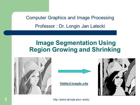 Image Segmentation Using Region Growing and Shrinking