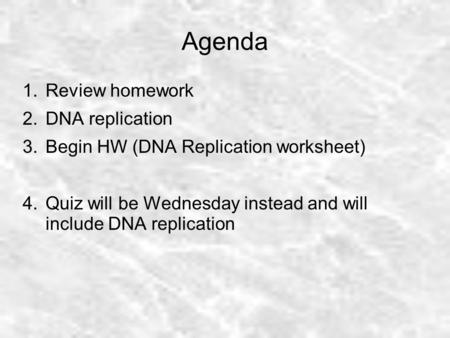 Agenda Review homework DNA replication