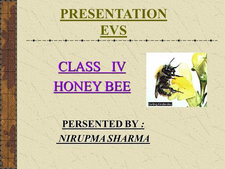 PRESENTATION EVS CLASS IV HONEY BEE PERSENTED BY : NIRUPMA SHARMA.