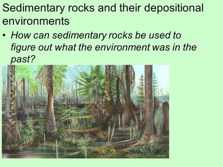 Sedimentary rocks and their depositional environments