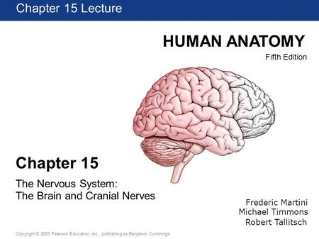 HUMAN ANATOMY Chapter 15 Chapter 15 Lecture The Nervous System:
