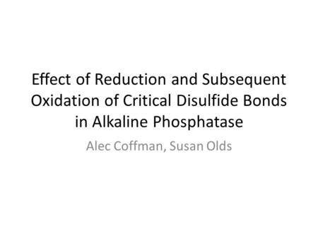 Effect of Reduction and Subsequent Oxidation of Critical Disulfide Bonds in Alkaline Phosphatase Alec Coffman, Susan Olds.