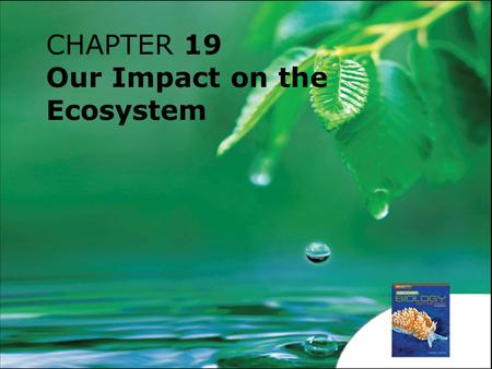 CHAPTER 19 Our Impact on the Ecosystem. 19.1How Do We Affect the Ecosystem? 19.2Conservation Chapter 19 Our Impact on the Ecosystem.