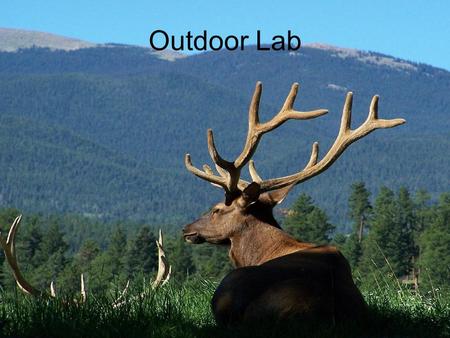 History of the Outdoor Lab