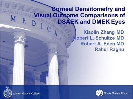 Corneal Densitometry and Visual Outcome Comparisons of DSAEK and DMEK Eyes Xiaolin Zhang MD Robert L. Schultze MD Robert A. Eden MD Rahul Raghu.