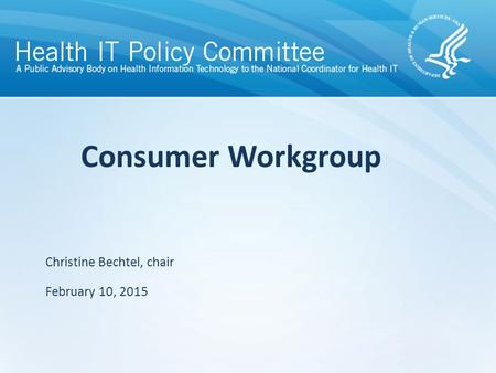 Draft – discussion only Consumer Workgroup Christine Bechtel, chair February 10, 2015.