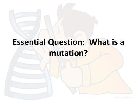 Essential Question: What is a mutation?