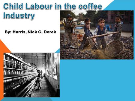 Child Labour in the coffee Industry