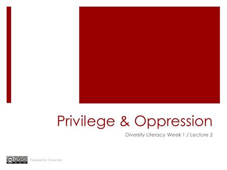 Privilege & Oppression Diversity Literacy Week 1 / Lecture 2 Prepared by Claire Kelly.