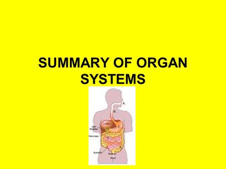 SUMMARY OF ORGAN SYSTEMS