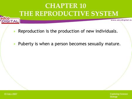 CHAPTER 10 THE REPRODUCTIVE SYSTEM