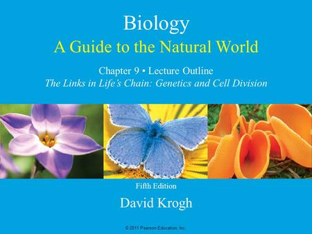 A Guide to the Natural World David Krogh © 2011 Pearson Education, Inc. Chapter 9 Lecture Outline The Links in Life’s Chain: Genetics and Cell Division.