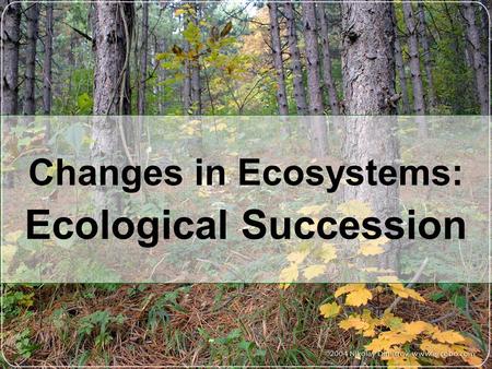 Changes in Ecosystems: . Ecological Succession