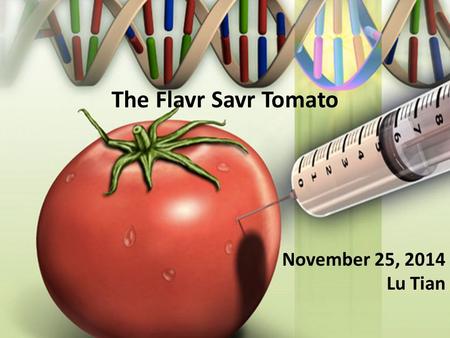 The Flavr Savr Tomato November 25, 2014 Lu Tian. Flavr Savr Tomato The first FDA approved genetically modified food Licensed in 1994 Ripening causes production.