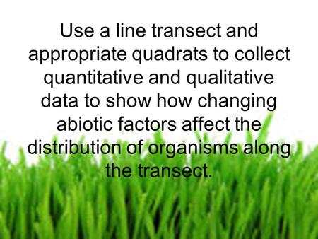 By Charlotte Bagnall Use a line transect and appropriate quadrats to collect quantitative and qualitative data to show how changing abiotic factors affect.
