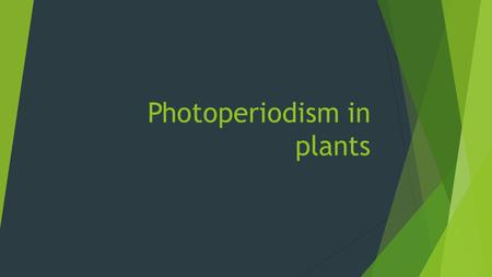 Photoperiodism in plants