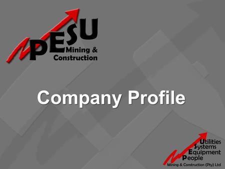 Company Profile. Who are we? The successful execution of major capital projects is a critical business activity for companies in the mining industry.