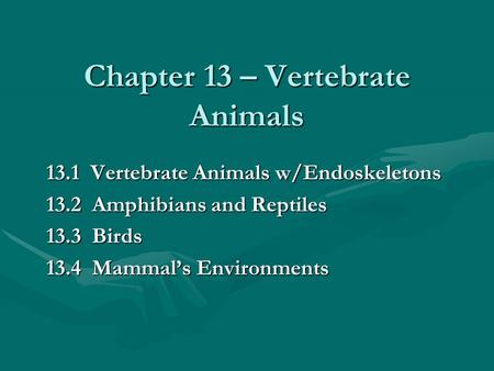 Chapter 13 – Vertebrate Animals 13.1 Vertebrate Animals w/Endoskeletons 13.2 Amphibians and Reptiles 13.3 Birds 13.4 Mammal’s Environments.
