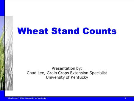 Chad Lee © 2006 University of Kentucky 1 Wheat Stand Counts Presentation by: Chad Lee, Grain Crops Extension Specialist University of Kentucky.