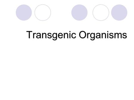 Transgenic Organisms.