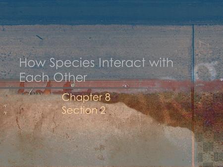 How Species Interact with Each Other