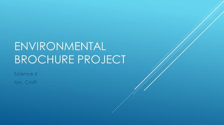 Environmental Brochure Project
