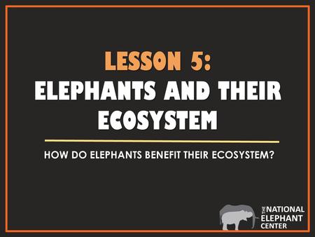 LESSON 5: ELEPHANTS AND THEIR ECOSYSTEM HOW DO ELEPHANTS BENEFIT THEIR ECOSYSTEM?