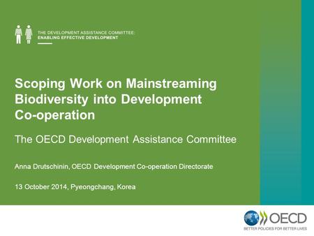 Scoping Work on Mainstreaming Biodiversity into Development Co-operation The OECD Development Assistance Committee Anna Drutschinin, OECD Development Co-operation.