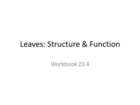 Leaves: Structure & Function
