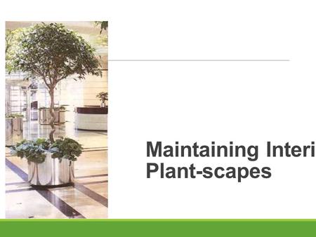 Maintaining Interior Plant-scapes. Next Generation Science/Common Core Standards Addressed! CCSS.ELA Literacy Follow precisely a complex multistep procedure.