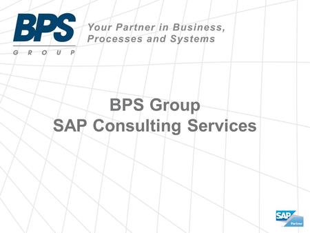 BPS Group SAP Consulting Services