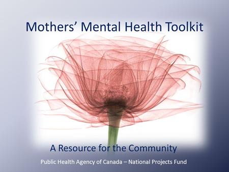 Mothers’ Mental Health Toolkit