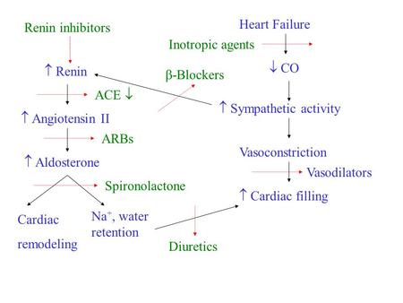 Heart Failure  CO  Sympathetic activity Vasoconstriction  Cardiac filling  Renin  Angiotensin II  Aldosterone Na +, water retention Cardiac remodeling.