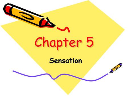 Chapter 5 Sensation.