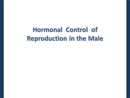 Hormonal Control of Reproduction in the Male. Dr. M. Alzaharna (2014) Spermatogenesis Spermatogenesis goes on continuously from puberty to senescence.