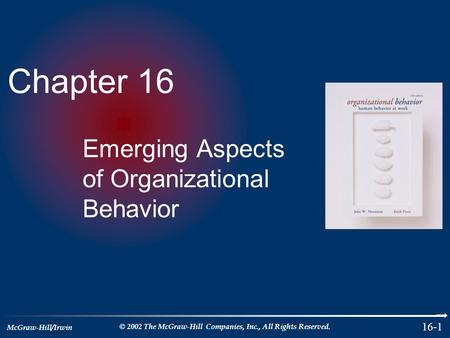 McGraw-Hill/Irwin © 2002 The McGraw-Hill Companies, Inc., All Rights Reserved. 16-1 Chapter 16 Emerging Aspects of Organizational Behavior.