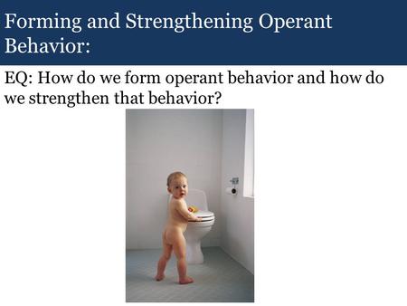 Forming and Strengthening Operant Behavior: EQ: How do we form operant behavior and how do we strengthen that behavior?