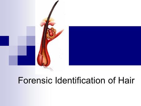 Forensic Identification of Hair