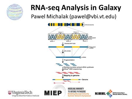 RNA-seq Analysis in Galaxy