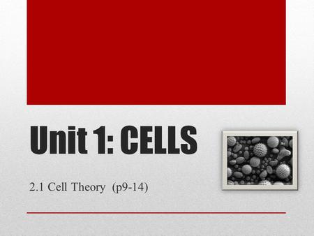 Unit 1: CELLS 2.1 Cell Theory (p9-14). The Cell Theory 1.All living organisms are composed of one or more cells 2. Cells are the smallest units of life.