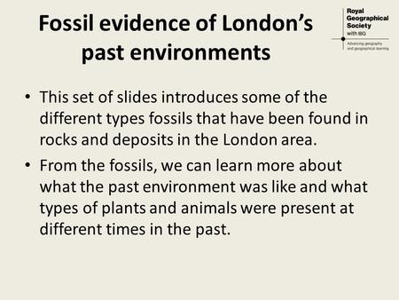 Fossil evidence of London’s past environments This set of slides introduces some of the different types fossils that have been found in rocks and deposits.
