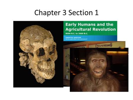 Chapter 3 Section 1. Where did the human story begin? Lucy’s remains were found in East Africa… Lucy’s remains were found in East Africa…