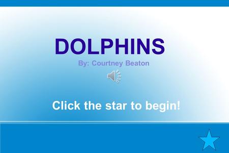 DOLPHINS By: Courtney Beaton Click the star to begin!