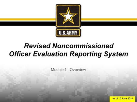 Revised Noncommissioned Officer Evaluation Reporting System