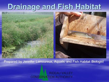 Drainage and Fish Habitat Prepared by Jennifer Lamoureux, Aquatic and Fish Habitat Biologist.