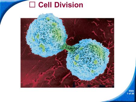 Slide 1 of 38 Copyright Pearson Prentice Hall Cell Division.