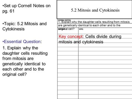 4.2 Overview of Photosynthesis Set up Cornell Notes on pg. 61 Topic: 5.2 Mitosis and Cytokinesis Essential Question: 1. Explain why the daughter cells.