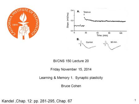 Bi/CNS 150 Lecture 20 Friday November 15, 2014 Learning & Memory 1. Synaptic plasticity Bruce Cohen Kandel,Chap. 12: pp. 281-295, Chap. 67 1.