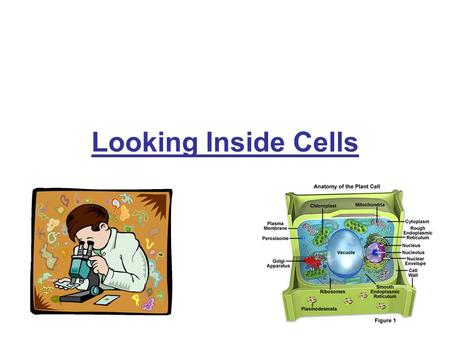 Looking Inside Cells.